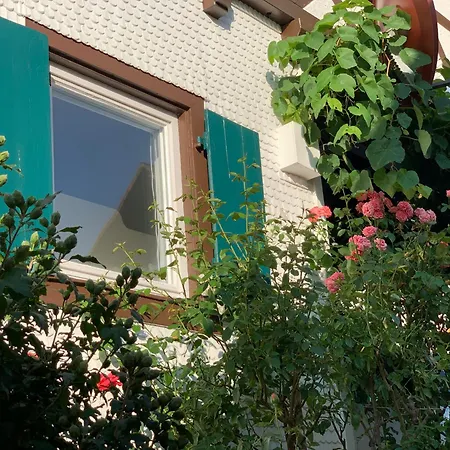 Hilseneckle Apartment *