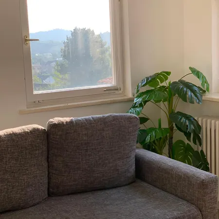 Apartment Hilseneckle