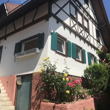 Apartment Hilseneckle *