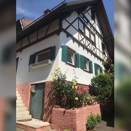 Hilseneckle Oberkirch (Baden)