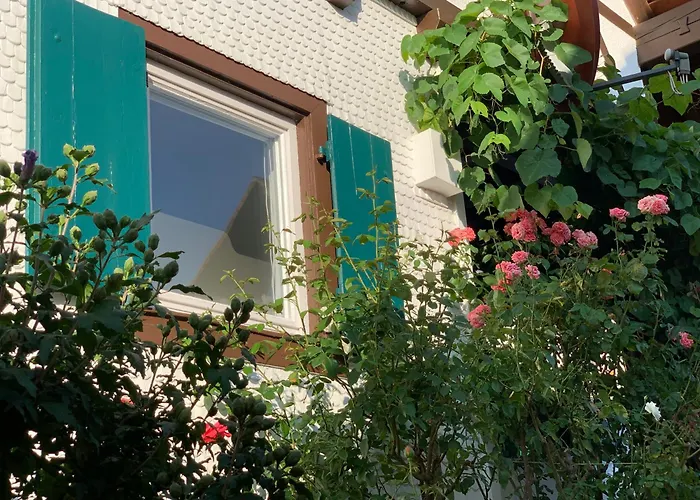 Hilseneckle Apartamento *